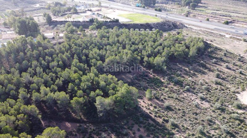 Foto 762f0eb7-a2c0-48a5-9feb-1d61cb861ef4. Finca rústica a Sax