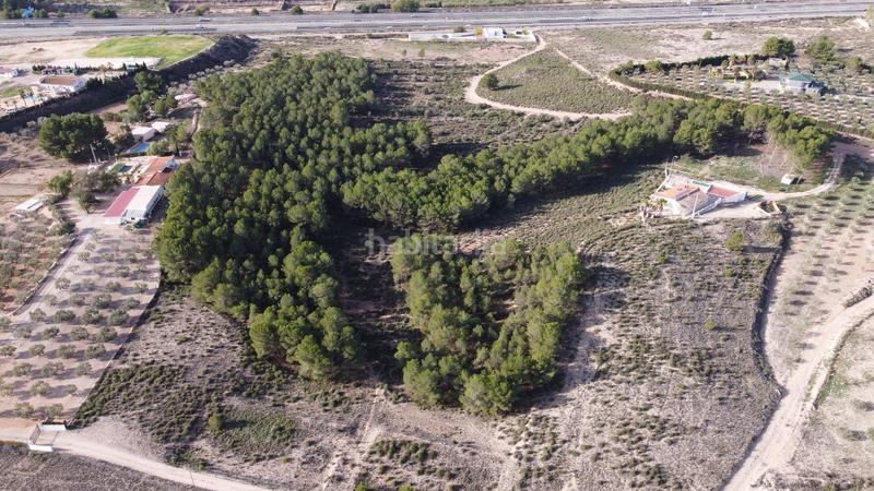 Foto 81bfe029-2dac-4cdf-bf63-acf7a71da38c. Finca rústica a Sax