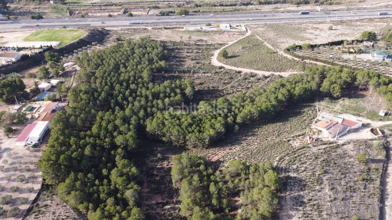 Foto 8f48700e-4cd4-433f-b555-03e32297bdcd. Finca rústica a Sax