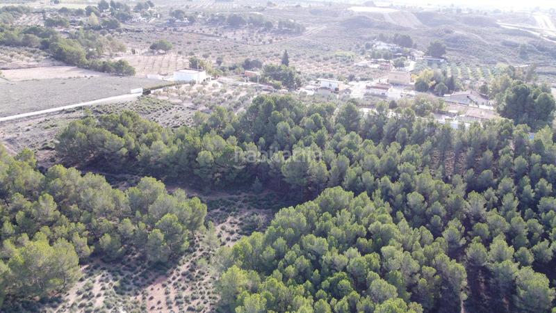 Foto 99282075-ffe3-4ae9-b884-de274be296f6. Finca rústica a Sax