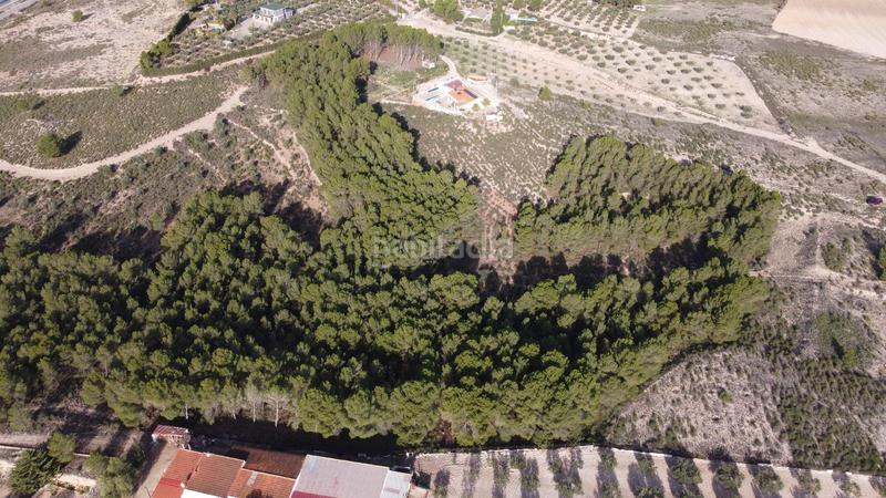 Foto a63fb647-d547-41f9-b69d-d565bc4a56a3. Finca rústica a Sax