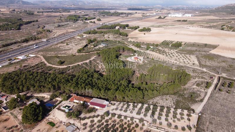 Foto acfd183d-8a7a-4e83-b616-1b9719190a86. Finca rústica a Sax