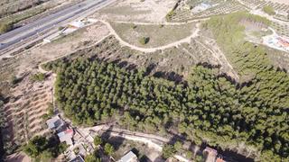 Finca rústica a Sax. Paraje la para, cerca de la autovía de madrid