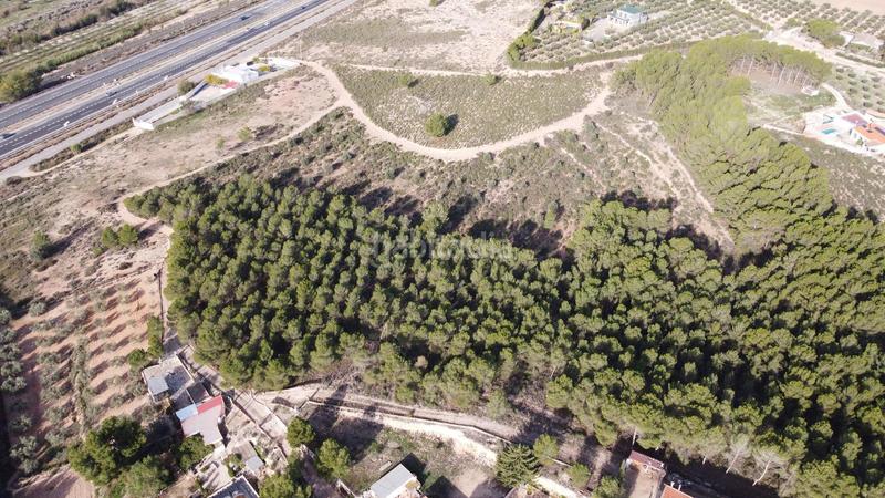 Foto b640288f-3c9b-49c5-bad9-be39140b264f. Finca rústica a Sax