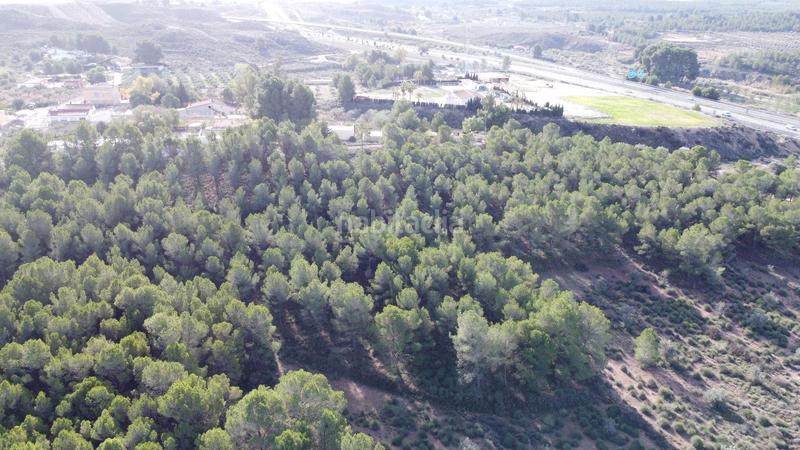 Foto b8c84538-e134-4249-a1fa-fcddfe9f8192. Finca rústica a Sax