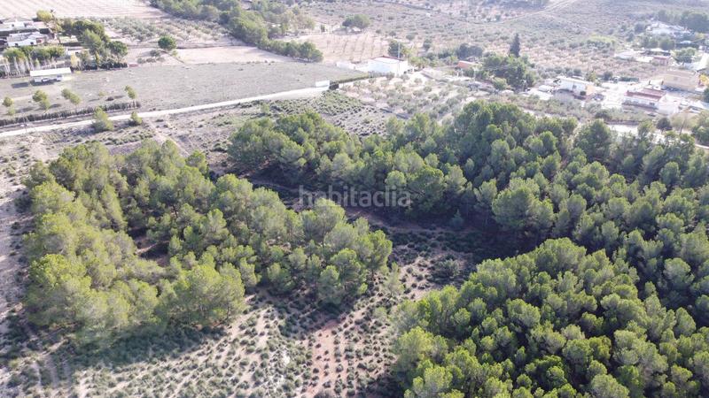 Foto d71899fb-7486-42de-8c43-c12184b627b7. Finca rústica a Sax