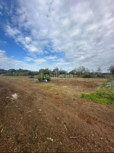 Foto 9517255b-e0c1-4ebe-871f-7b0174cd416e. Finca rústica a Las Lagunas - Campano Chiclana de la Frontera