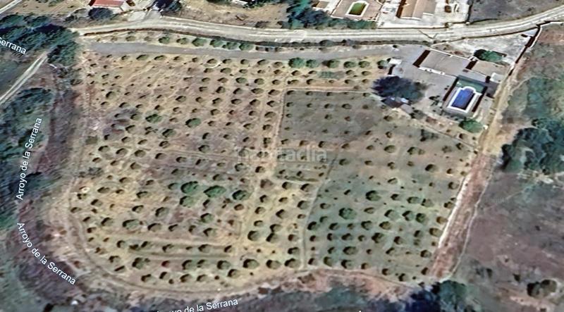 Foto 35cdc4bd-4b1b-4266-bcac-85abd2f4beeb. Masia amb aparcament piscina a Pizarra