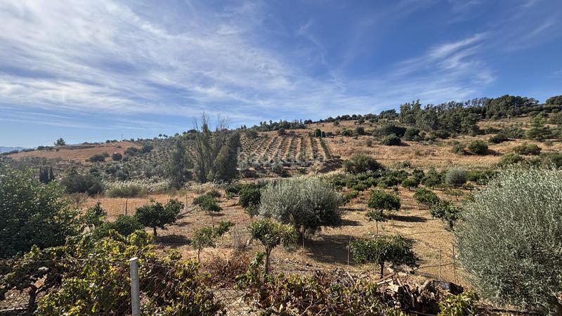 Foto 84c41c35-f782-4f90-a26c-eee659ccf217. Masia amb aparcament piscina a Pizarra