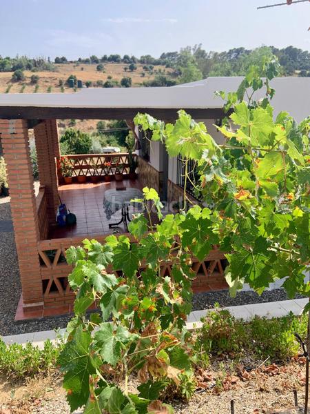 Foto ff8afb49-7192-4870-a13f-0b75eb466b07. Masia amb aparcament piscina a Pizarra