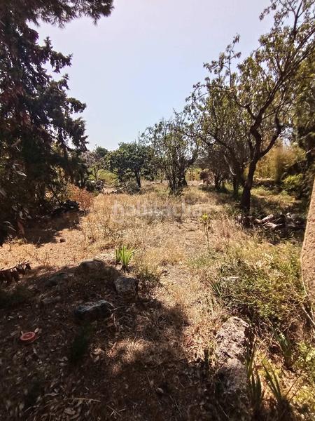 Foto 84c5b3e7-0478-4497-8593-c78d3b10a375. Bauernhof in Sant Jaume dels Domenys