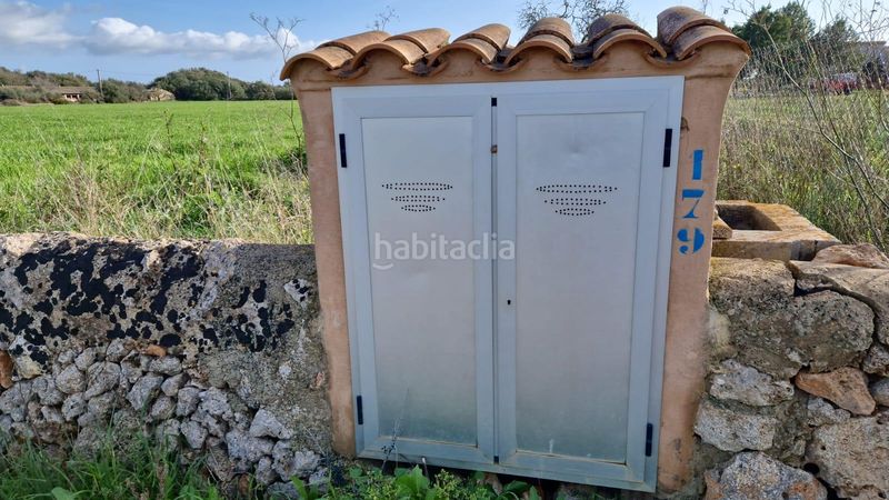 Foto affde116-6787-4a71-9494-fefcbdc4e3dc. Finca rústica a Llucmajor interior Llucmajor
