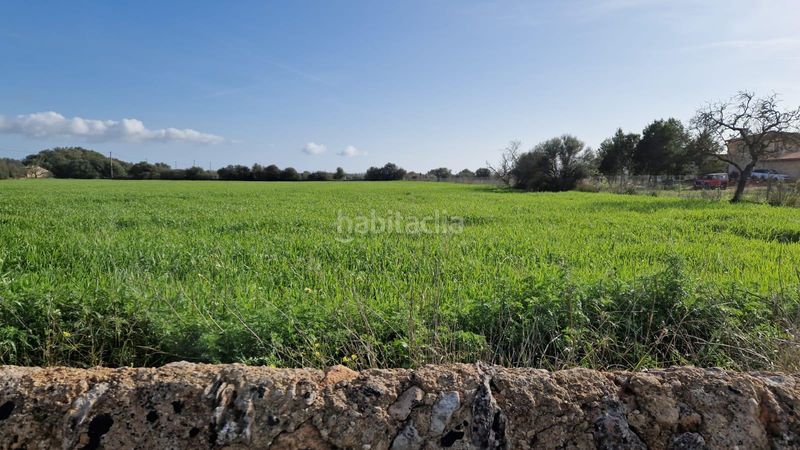 Foto fe5d2d2f-f917-4cf3-bf0e-db549c400cb8. Finca rústica a Llucmajor interior Llucmajor
