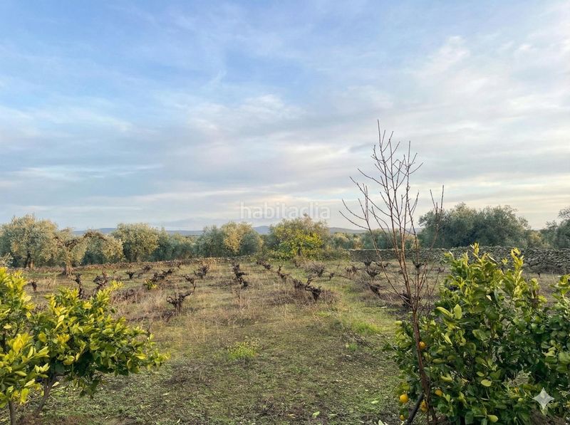 Foto 22b35335-ae01-475c-9cd4-5764a5d0f16e. Masia amb aparcament piscina a Montánchez