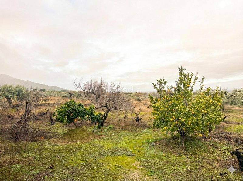 Foto 34b05ed1-d607-4e74-b40b-a5c2b3dc6d5e. Masia amb aparcament piscina a Montánchez