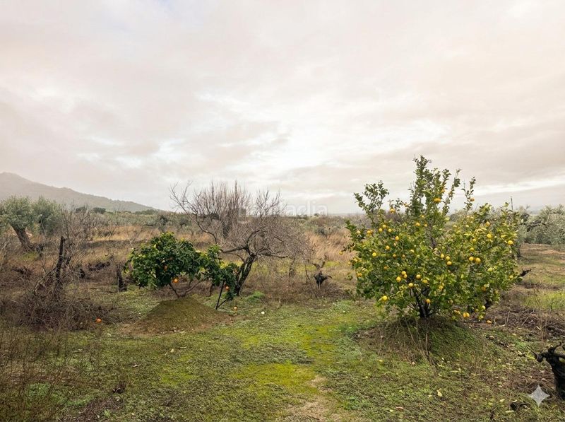 Foto e077c43c-7eb6-47ce-bd49-6425c1541e65. Masia amb aparcament piscina a Montánchez