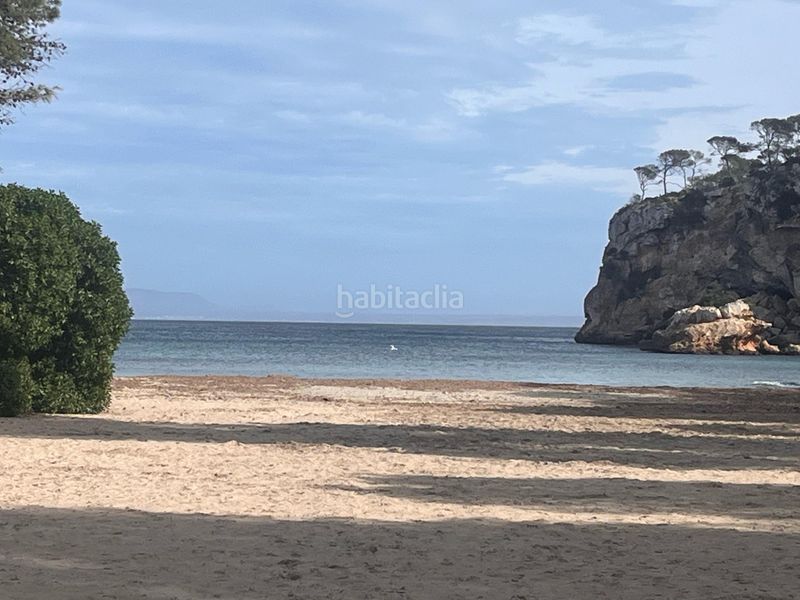 Foto 6ee17187-1383-4bbb-a8ea-8764061d4190. Apartament a Sol de Mallorca Calvià