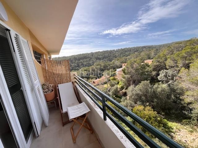 Foto a7dafd0b-f981-4a95-aea5-eee90068b13e. Apartament a Sol de Mallorca Calvià