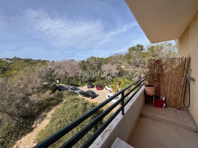 Foto d61d9a22-e24b-4b61-b719-edf584b13df9. Apartament a Sol de Mallorca Calvià