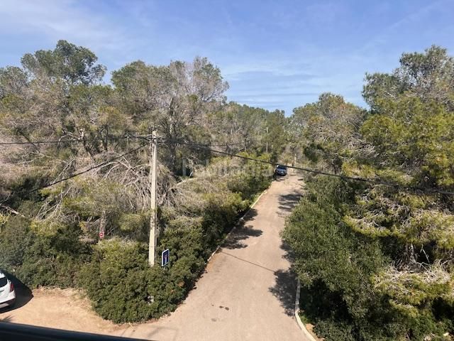 Foto e677af13-7b6b-49f7-94f1-020d96721b2e. Apartament a Sol de Mallorca Calvià