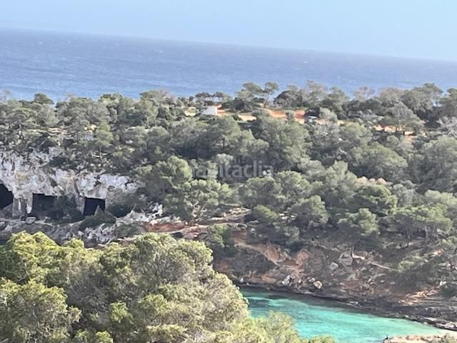 Foto e76195f0-fa22-416e-a265-1d5501f13e19. Apartament a Sol de Mallorca Calvià