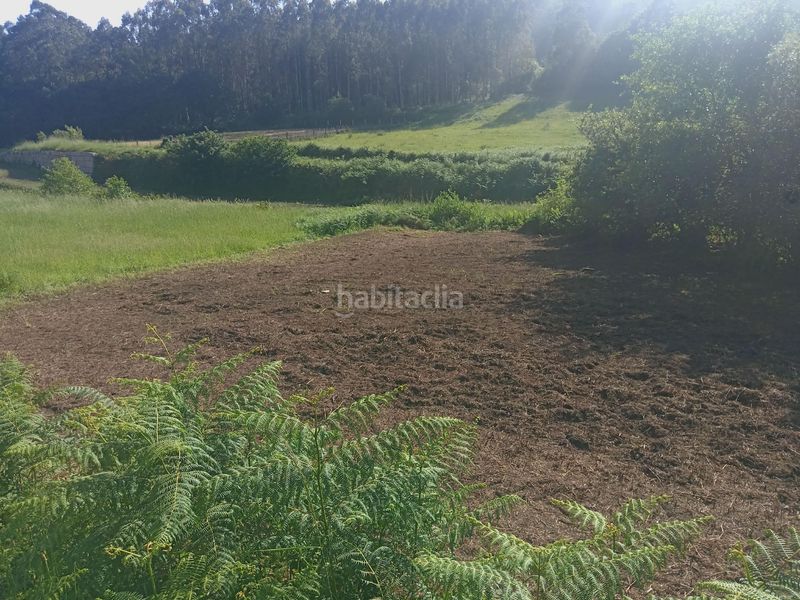 Foto 4db735e9-d1c0-4c6f-9e34-f0dc2505f749. Finca rústica a Cee