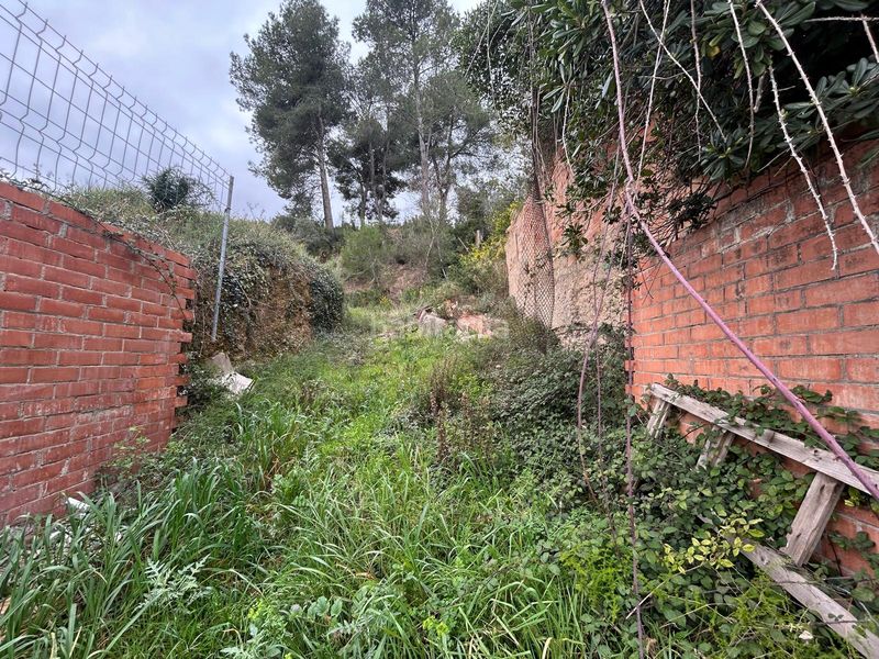 Foto e9aea876-1153-43eb-8679-354fb95a84c0. Finca rústica a Piera