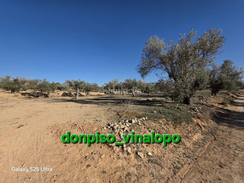 Foto e0173aad-c748-4b46-9531-cf95805ef723. Masia amb aparcament a Caudete