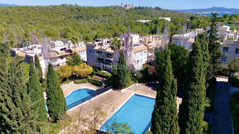 Foto 11cb06e3-88ff-4384-b572-fe1645916b5c. Pis amb aparcament piscina a La Bonanova Palma de Mallorca