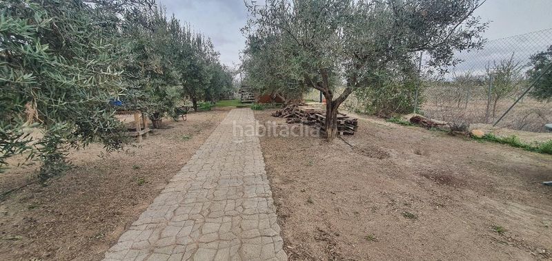 Foto d5d39495-6ecd-4c2f-8447-abaa4039ca33. Xalet a Tobarra