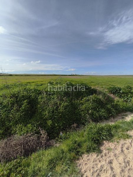 Foto aaafb948-97a4-4abe-a772-71b026d93b12. Finca rústica a Medina del Campo
