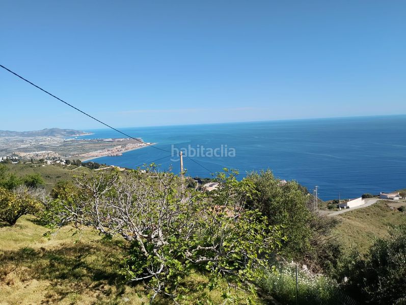 Foto 074e8422-5568-4711-a476-a5e6c86dab7b. Finca rústica a Monte los Almendros - El Pargo - Costa Aguilera Salobreña