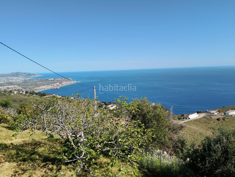 Foto 2211a5a9-a75d-43e7-92b5-0f42f9eb4700. Finca rústica a Monte los Almendros - El Pargo - Costa Aguilera Salobreña