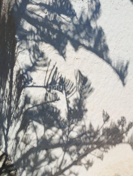 Foto 51f1f98a-d152-4327-850d-10808fa8214e. Finca rústica a Monte los Almendros - El Pargo - Costa Aguilera Salobreña