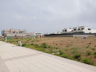 Fondo rustico in El Bosque. Terreno urbano de 525 m2 se puede construir 300m2