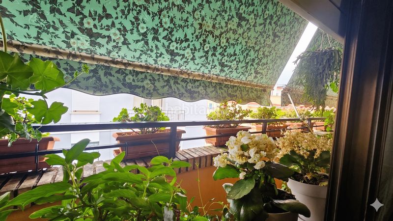 Foto 49515c41-d994-42f7-9852-d7ed65f6061d. Pis a Centro Cáceres