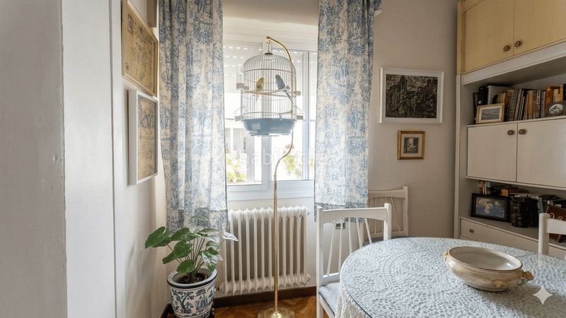 Foto 667e465a-9cb4-4bb6-acb9-fc8b8ee464d9. Pis a Centro Cáceres