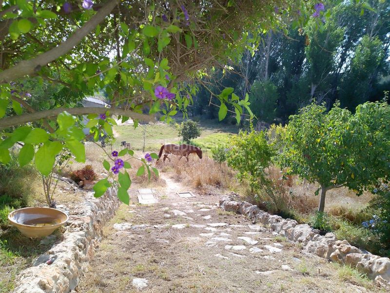 Foto c86796a9-9a2b-4fc3-a5ad-9d23158eaf55. Xalet amb piscina a Costa Esuri Ayamonte