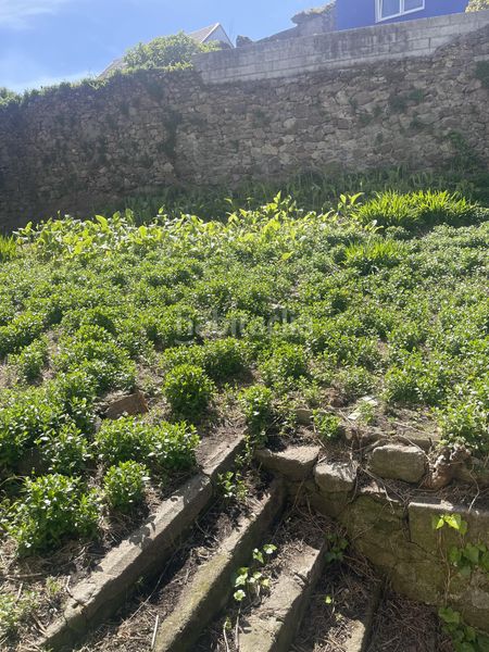 Foto cf5b42b8-6f59-41d5-a0a7-c5664370b629. Finca rústica a Fisterra