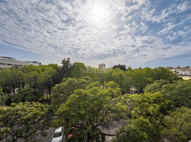 Piso junto a los jardines del cauce y nuevo centro en Valencia - Imagen 11