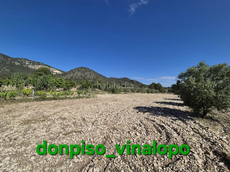 Foto 7922337b-6085-47b6-bacc-34188841d208. Masia amb calefacció piscina a Monòver