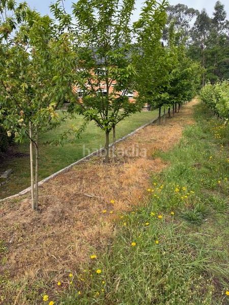 Foto e77969e2-daec-4b8d-bc25-04b1156071f4. Finca rústica a Porriño (O)