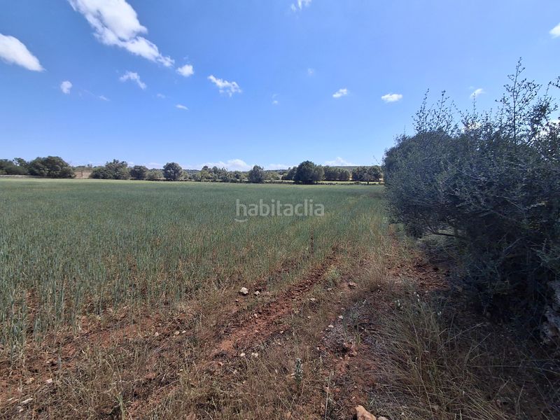 Foto 40e496db-f225-4631-b83a-df1ae87bcc95. Finca rústica a Felanitx poble Felanitx