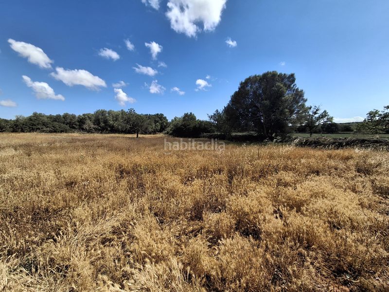 Foto 4b15aa15-b2e0-41df-b34d-aad635cd0884. Finca rústica a Felanitx poble Felanitx