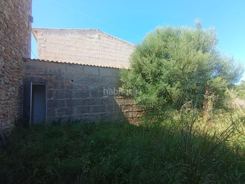 Foto 6ae3b68c-5e7f-4d54-addb-38081c973bfa. Finca rústica a Es Llombards Santanyí