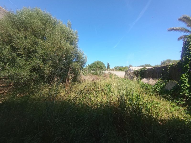 Foto 81b90a8e-2275-48b6-9b02-6d0da1fc00c9. Finca rústica a Es Llombards Santanyí