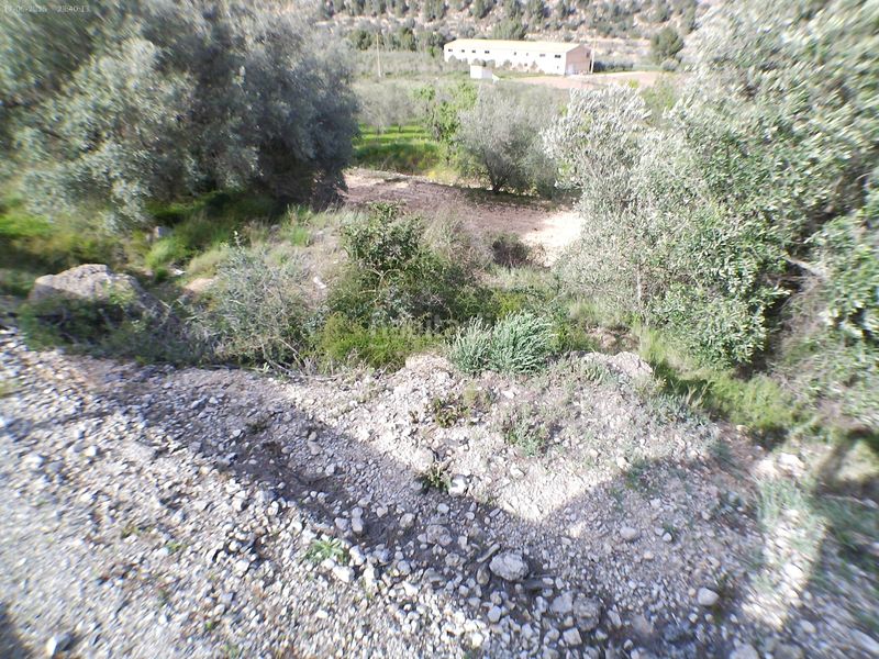 Foto e0639446-9131-4e12-a165-8f123b33a7e9. Finca rústica a Pinell de Brai (El)