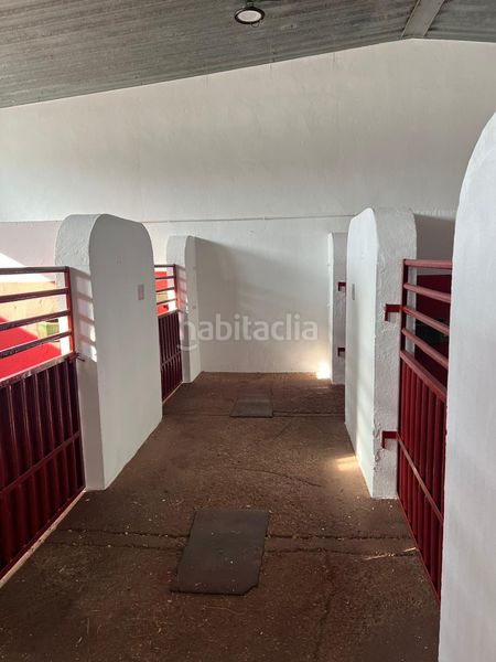 Foto d4acb6fb-1310-4408-bf3f-232fecbdeb66. Masia amb calefacció piscina a Corcos