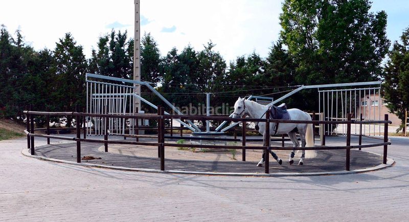 Foto eb06efbd-45a6-4030-9abc-72e3eb253242. Masia amb calefacció piscina a Corcos