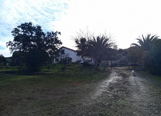 Masia a Almadén de la Plata. Finca de 5 hectáreas con casa rústica en parque natural